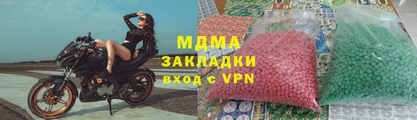 прущие грибы Елизово