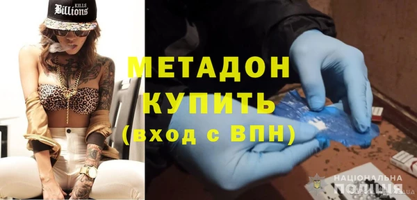 прущие грибы Елизово
