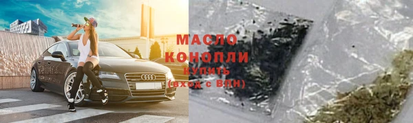 прущие грибы Елизово