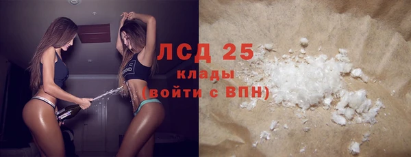 прущие грибы Елизово