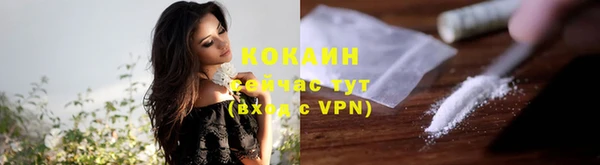 прущие грибы Елизово