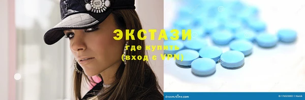 прущие грибы Елизово
