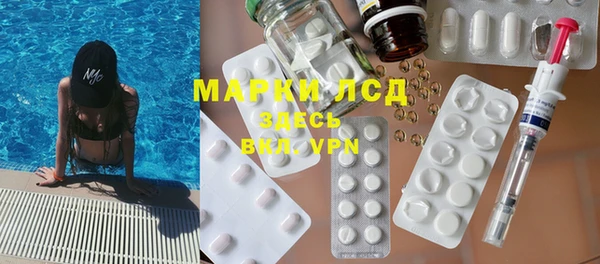 прущие грибы Елизово
