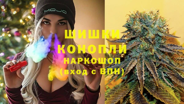 прущие грибы Елизово